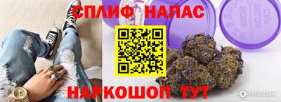 прущие грибы Канаш