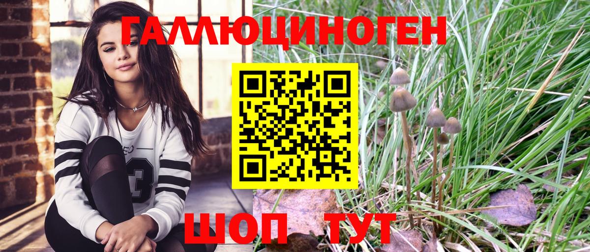 Псилоцибиновые грибы Magic Shrooms Краснодар