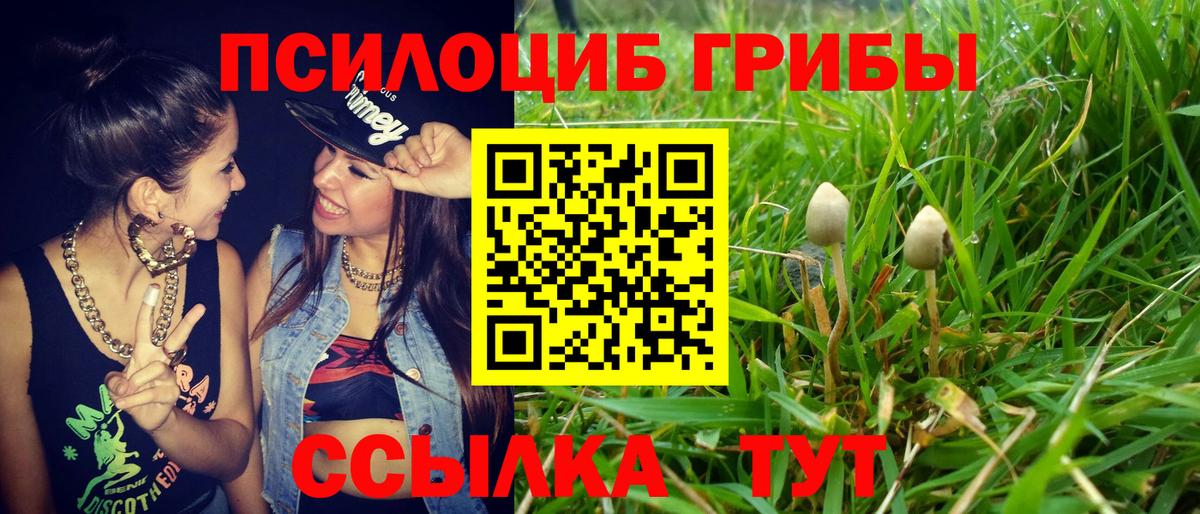 Псилоцибиновые грибы MAGIC MUSHROOMS  Псилоцибиновые грибы Cubensis  Вход с VPN  Краснодар 